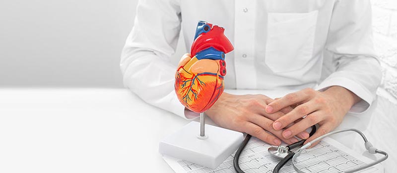 heart doctor