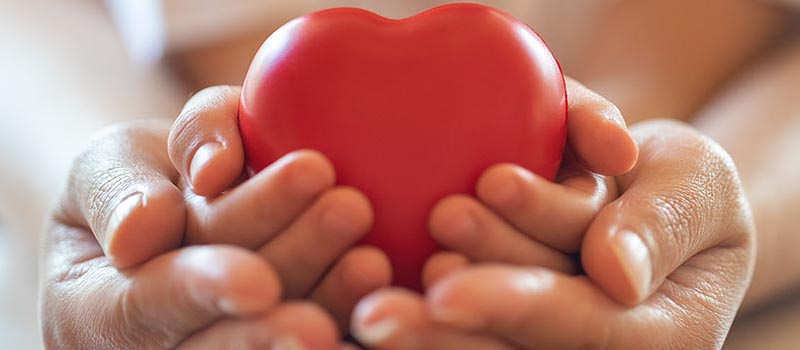 Hands holding heart