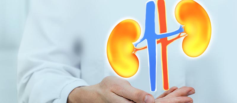 kidney care