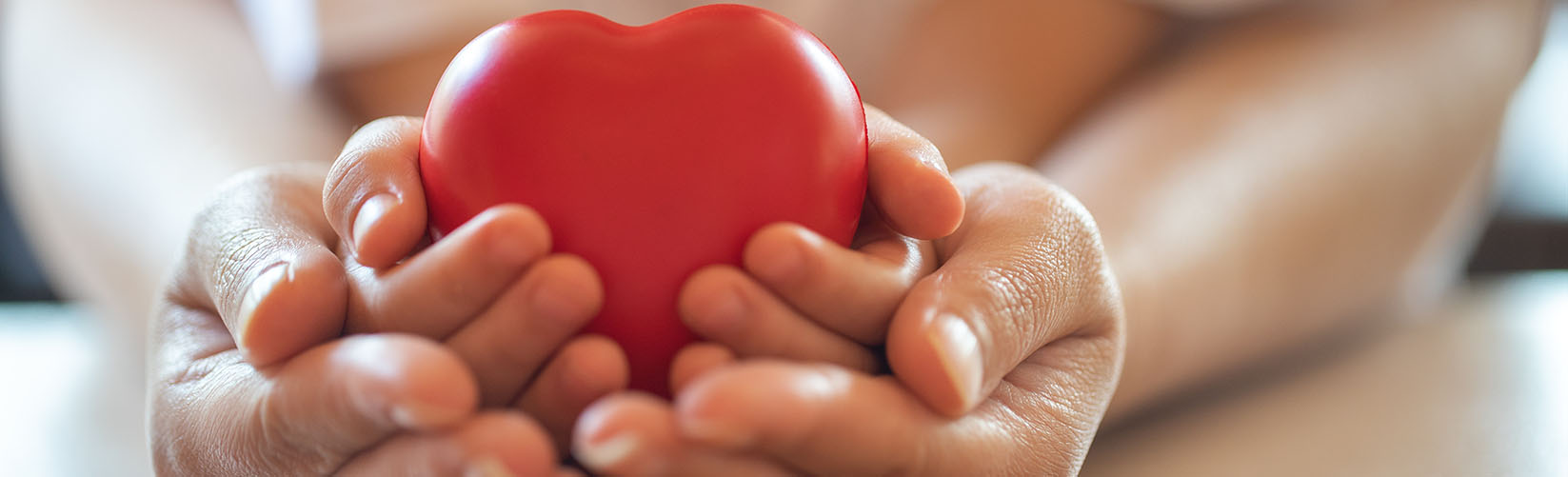 Hands holding heart